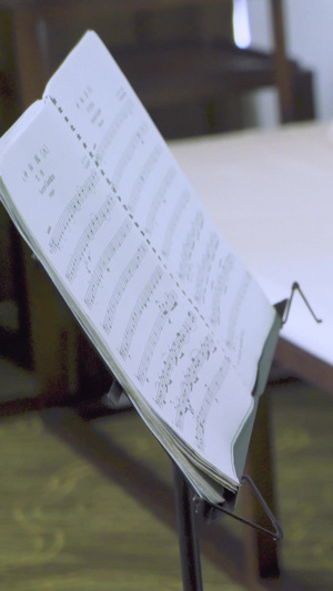 拉大提琴演奏艺术修养15秒视频