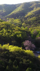 江苏5A花果山景区自然风光航拍视频地质公园视频