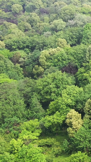 杭州西溪湿地国家湿地公园自然风光33秒视频