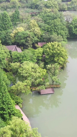 杭州西溪湿地国家湿地公园自然风光33秒视频