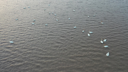 沙漠水库视频