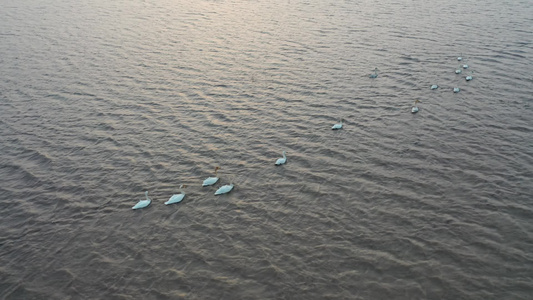 沙漠水库视频