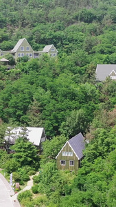 青岛森林公园中的小木屋度假区视频