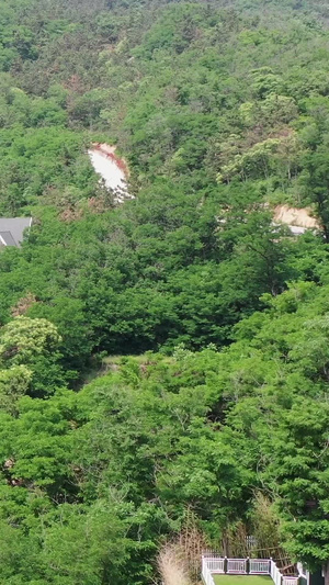 青岛森林公园中的小木屋度假区41秒视频