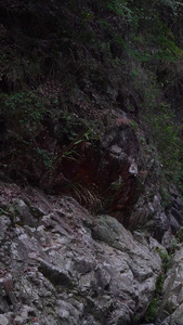 实拍山里的水流合集视频