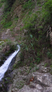 实拍山里的水流合集视频