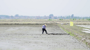 农业农民农田种地翻新土地4K实拍27秒视频