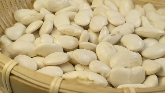 白色的芸豆豆子视频