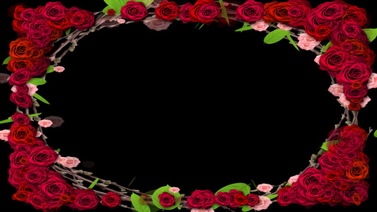 玫瑰盛开婚礼边框视频