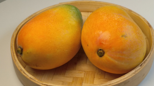 有机健康水果芒果视频