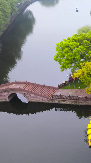 宁波城市地标5A景区月湖风景区5A风景区113秒视频