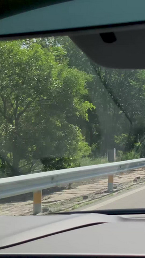 高速公路开车自驾车83秒视频