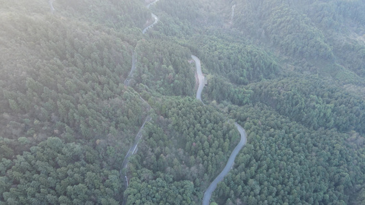 航拍蜿蜒森林公路视频