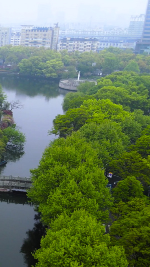 宁波市区5A景区月湖中的宁波中学航拍环绕风景区44秒视频