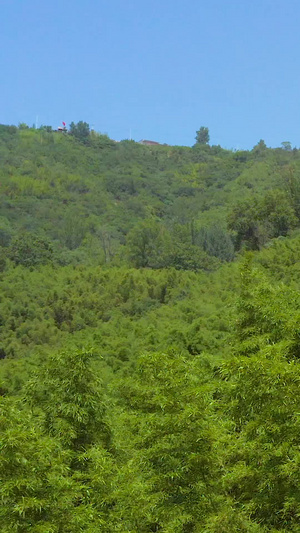 竹海园林航拍4A景点149秒视频