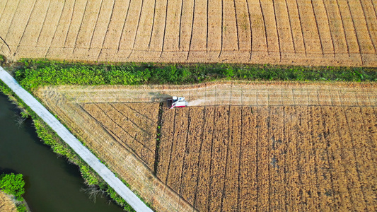 丰收农业农田大片麦田机械收割麦子4K航拍视频