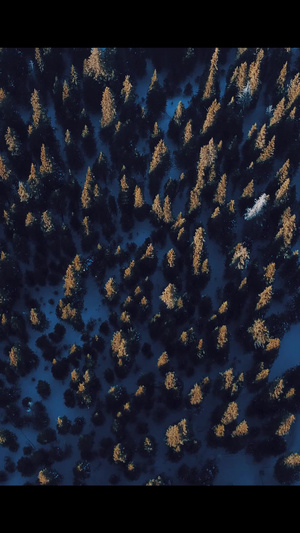 航拍森林好莱坞开场可做片头雪山开头视频25秒视频