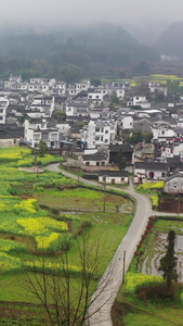 安徽黄山黟县碧山村春季风光徽派建筑视频