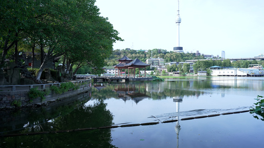 武汉汉阳莲花湖公园风景视频