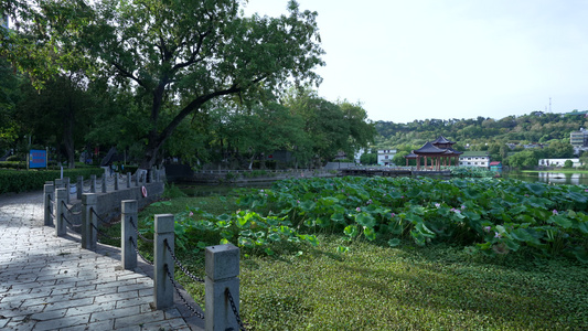 武汉汉阳莲花湖公园风景视频