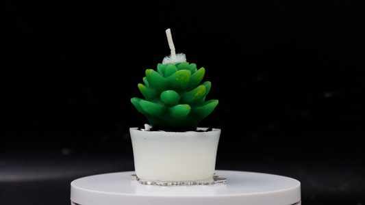 商品未点燃的蜡烛生日蛋糕插件摆件装饰品植物多肉造型小蜡烛视频