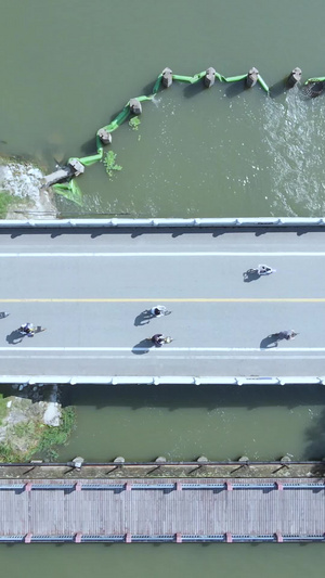 航拍城市公园湖景林荫绿道健身人群运动素材城市素材48秒视频