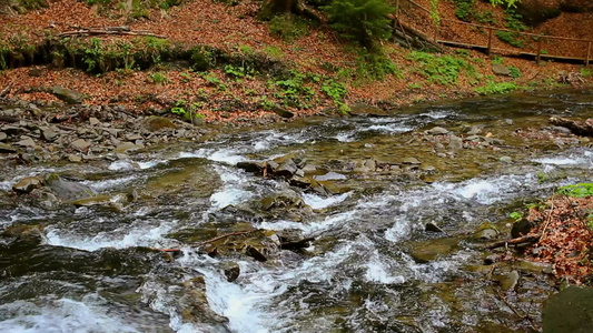 山间野外水源视频