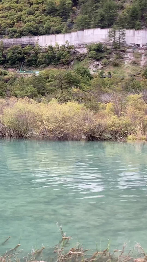 九寨沟风景区自然风景46秒视频