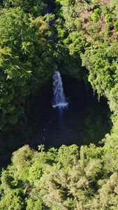 巴厘岛山涧中的瀑布爪哇岛视频