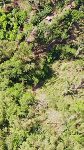 巴厘岛山涧中的瀑布爪哇岛视频