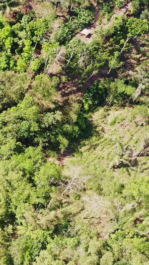 巴厘岛山涧中的瀑布爪哇岛9秒视频