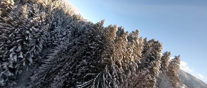 穿越机无人机穿梭飞跃冬季森林视频