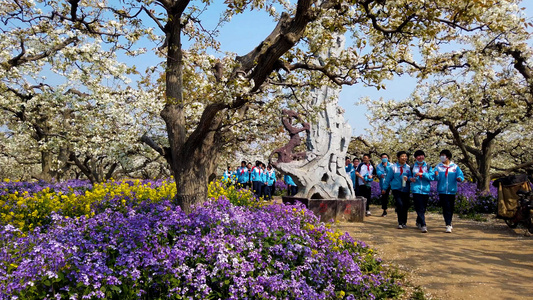 4K拍摄踏青赏花的学生视频