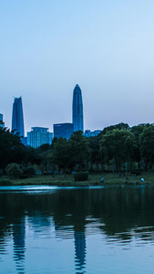 中心公园深圳最高楼平安大厦夜景城市建筑视频