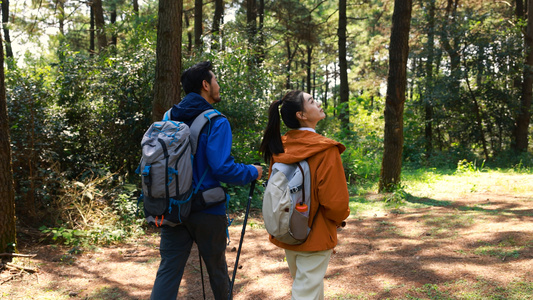 青年男女户外徒步远足旅行[两性间]视频