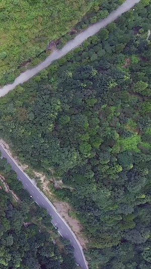 垂直航拍山路航拍森林40秒视频