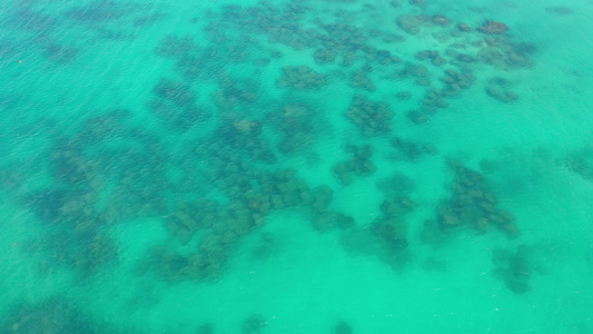 航拍海南省陵水黎族自治县分界洲岛景区海底珊瑚礁视频