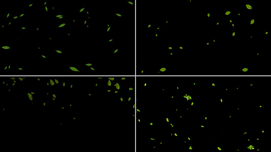 一组绿叶粒子漂浮动画视频