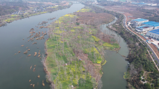 山川河流岛屿油菜花风景航拍 视频