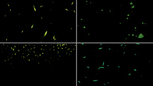 一组绿叶粒子漂浮动画12秒视频