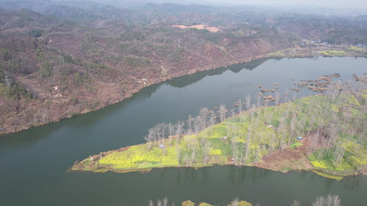 山川河流岛屿油菜花风景航拍 视频