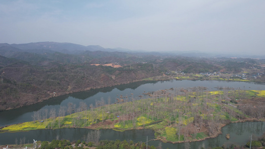 山川河流岛屿油菜花风景航拍 视频