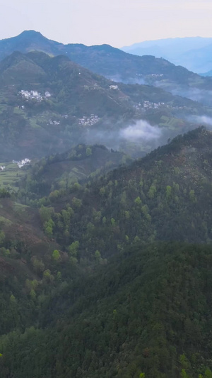 航拍皖南大山中的山村村落民居深山老林120秒视频