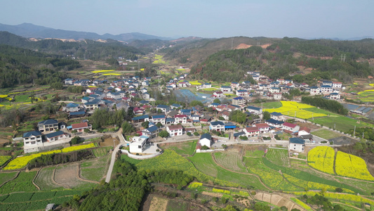 美丽乡村田园油菜花航拍视频