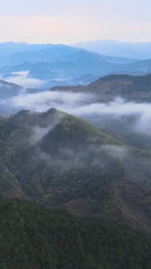 航拍皖南大山中的山村村落民居深山老林视频