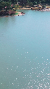 上海美兰湖樱花红叶李盛开踏青出游视频