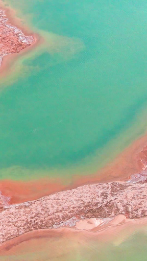 航拍青海如调色盘一般的西台吉乃尔湖自然风光视频素材51秒视频