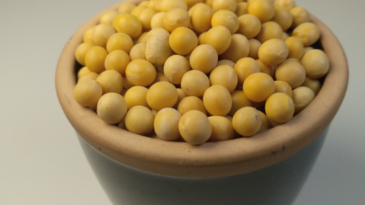 黄豆食品健康有机农产品视频