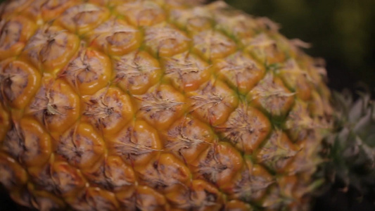 表皮粗糙的整个菠萝视频