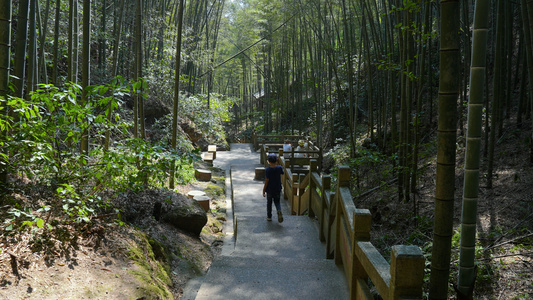 湖南5A级旅游景区崀山登山运动健身的游客背影4k素材视频